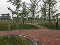 -北京国家会计学院