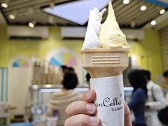 -柠檬车露(卖草地店)