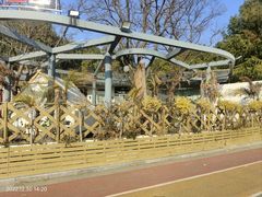 -贡湖湾湿地公园