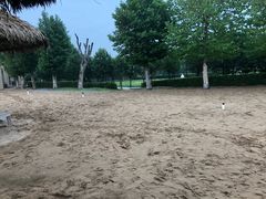 -古柏渡飞黄旅游区