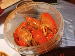 -肥肥虾庄·金牌油焖大虾(东湖欢乐谷店)