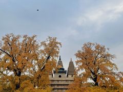 -北京石刻艺术博物馆(五塔寺)