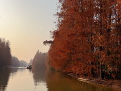 -上海海湾国家森林公园