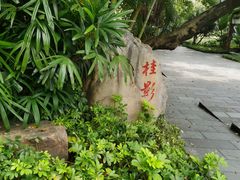 -晓港公园
