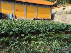 -宝通禅寺