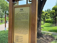 -西海子公园