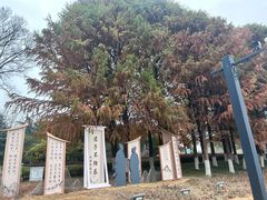 -陈大帅黄桥烧饼(桃园路店)