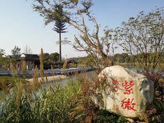 -八大山人梅湖景区