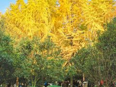 -四川大学(华西校区)