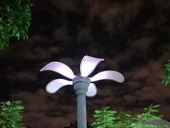 -龙舟池