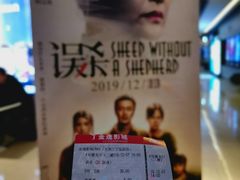 -金逸影城(光美江宁IMAX店)