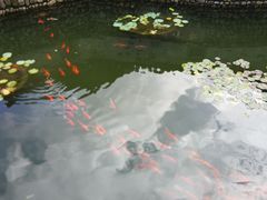 -前童古镇