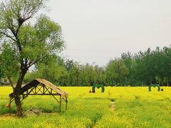 -青龙湖公园