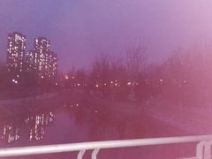 -绿岛公园(滨海新区)