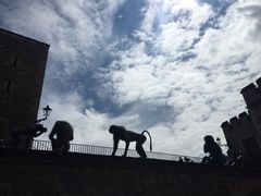 iphone_upload_pic-伦敦塔