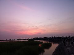 -南汇嘴观海公园