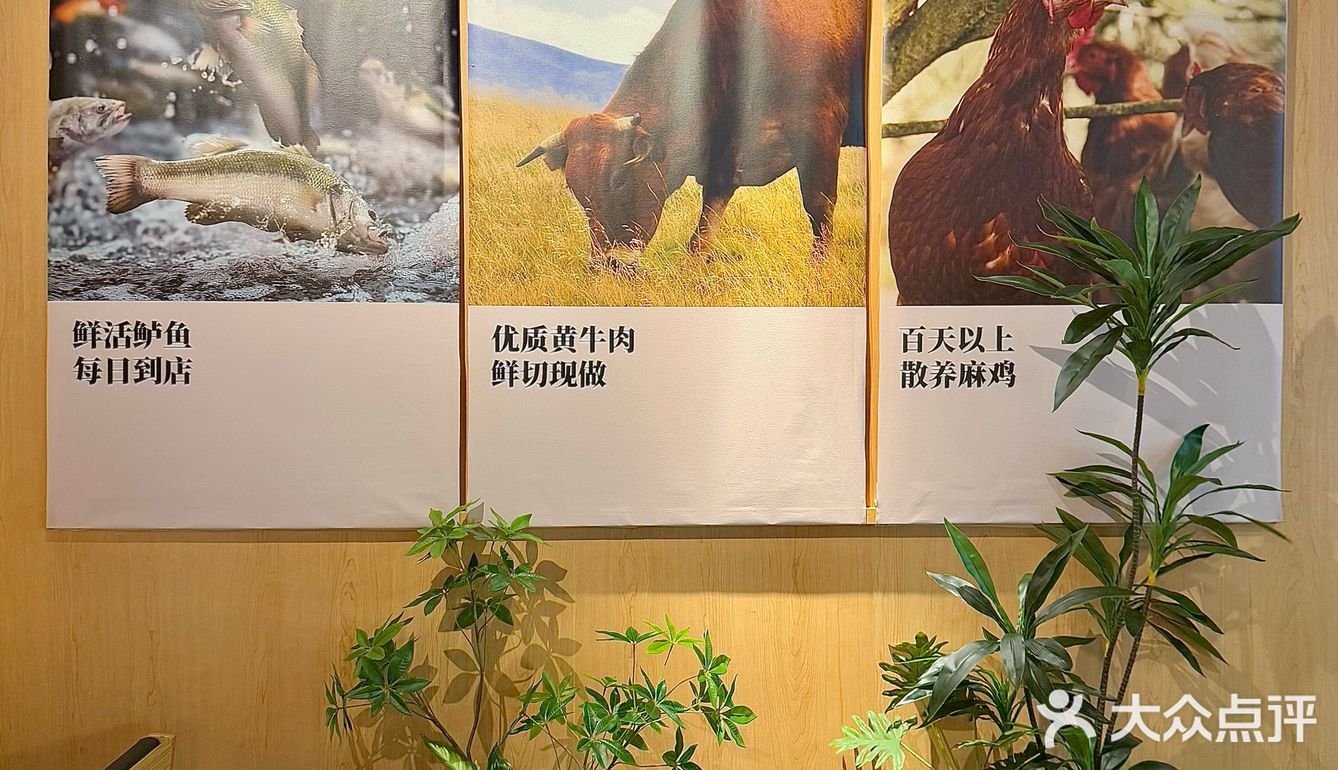 深圳太二全新升级！！！附新品测评攻略。。