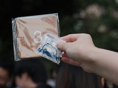 -陆家嘴中心绿地