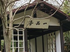 -中国茶叶博物馆(双峰馆区)