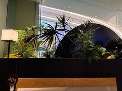 -芸山季·云南山珍菌火锅(南翔印象城MEGA店)