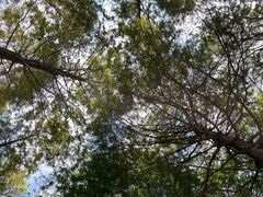 -上海山野camping·户外天幕烧烤·团建拓展营地