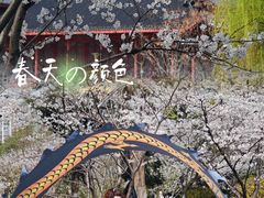 -堤角公园