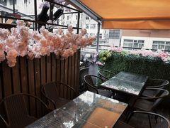 -layback cafe & bar