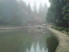 -庐山风景区花径公园