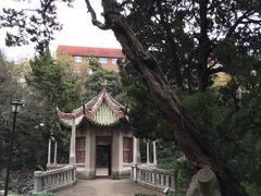 -叶家花园