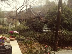 picture-威廉的太妃糖酒店(杭州西湖青芝坞店)