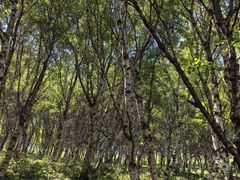 -灵山