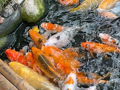 -上海大自然野生昆虫馆(东方明珠·爬宠昆虫探索中心)