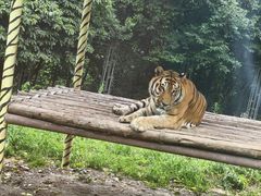 -西安秦岭野生动物园