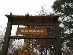 -天适樱花悠乐园