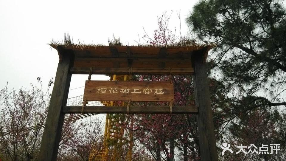 天适樱花悠乐园图片