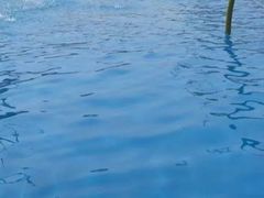 -海盗传奇水世界