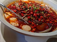 精品海鲜毛血旺-青年公社烤鸭(青年路店)