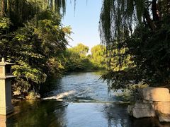 -百脉泉景区