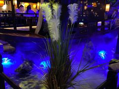 -绿茶餐厅(乐峰广场店)