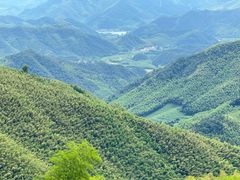 -莫干山风景区