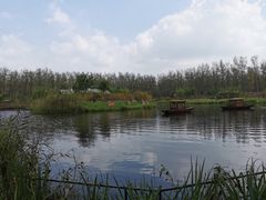 -合肥滨湖国家森林公园