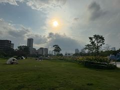 -大亚湾红树林城市湿地公园