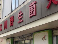 -江川野生菌火锅铜锅鱼(贵清火锅店)