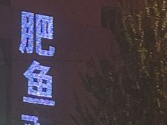 -肥鱼屯活鱼锅(惠工街店)