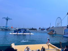 -秦皇岛乐岛海洋王国