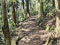 -广州市帽峰山景区
