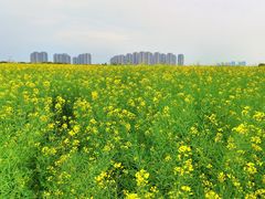-砂之船奥莱(南京江宁店)