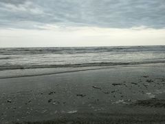 -大鹿岛