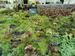 -国家植物园南园