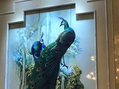 -云腾食府·云南菜